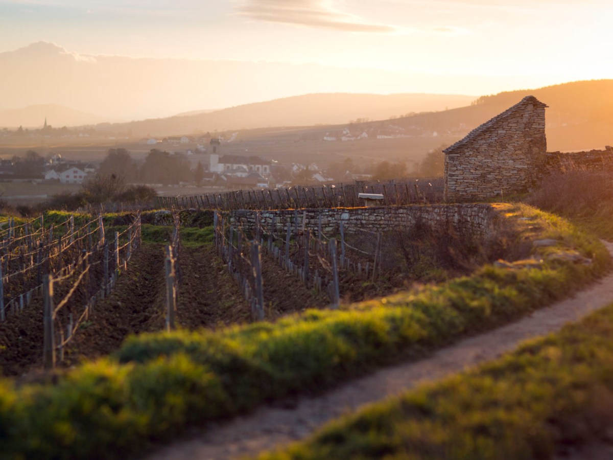 Bourgogne / Burgundy